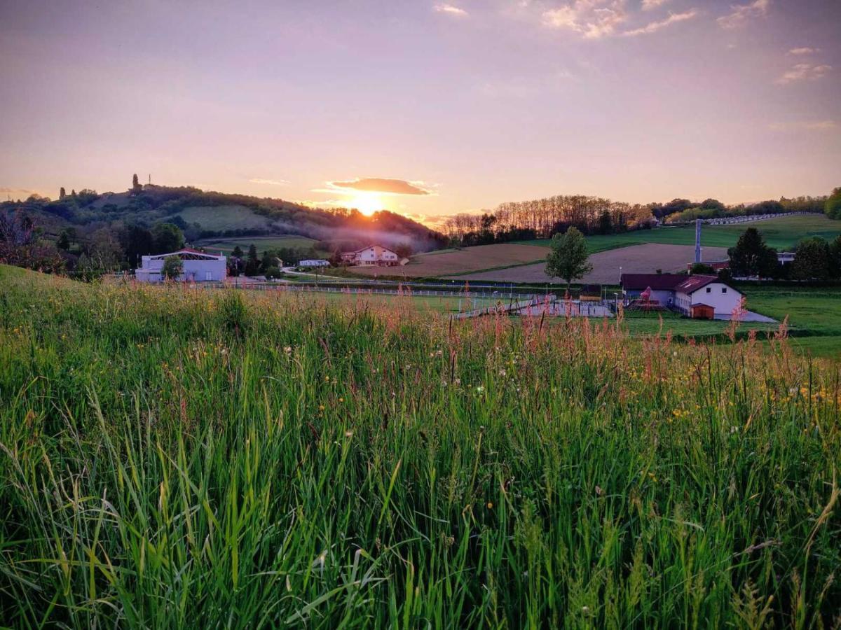 Holiday Home Rojko Strigova エクステリア 写真